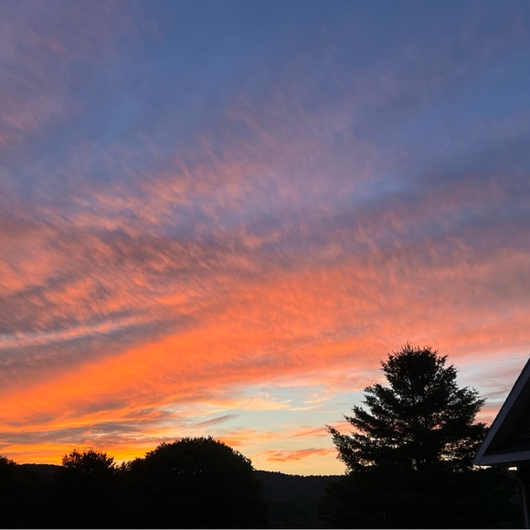 Meet your Posher, Lauren - Picture 3 of 4